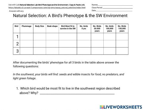 Natural Selection: Bird Phenotype