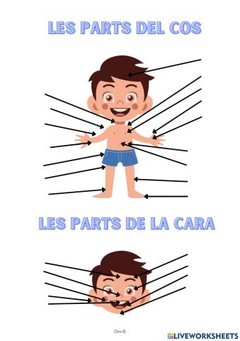 Les parts del cos