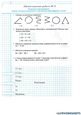 Діагностувальна робота