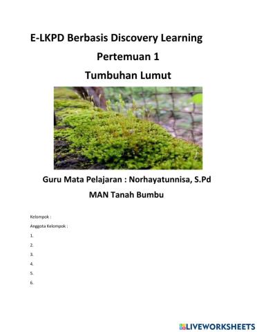Lkpd plantae ( tumbuhan lumut)