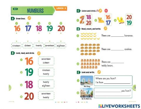 G2-unit 4 animal lesson 1