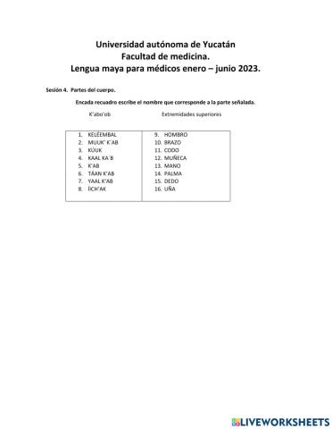 Partes del cuerpo en maya