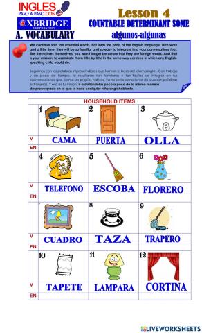 Lección 4. Countable Determinant “SOME” algunos-algunas