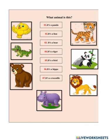 What animal is this Family starter