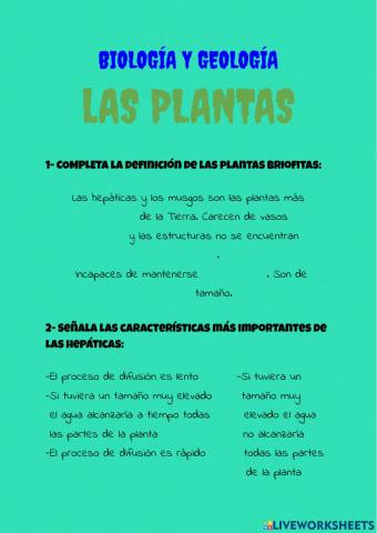 Plantas II
