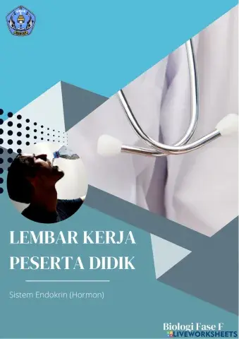 LKPD Endokrin
