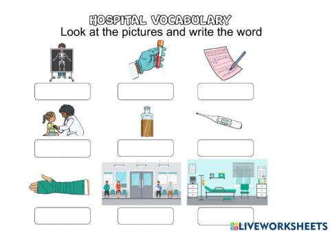 Hospital vocabulary