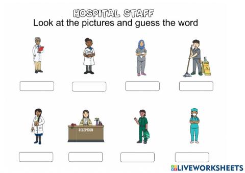 Vocabulary hospital staff