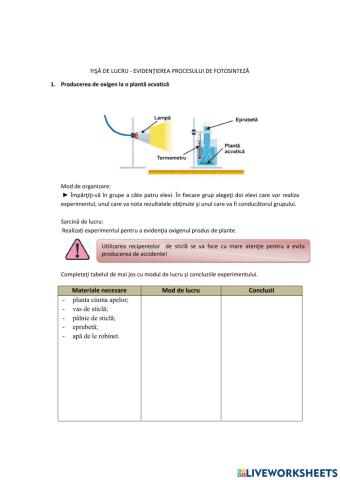 Fişă de lucru - Producerea de oxigen prin fotosinteză
