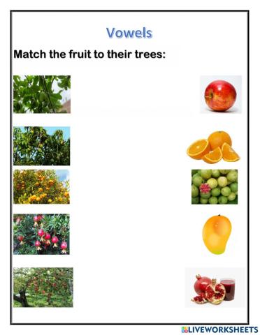 Trees and their fruits