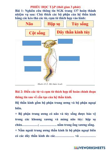 Phiếu học tập
