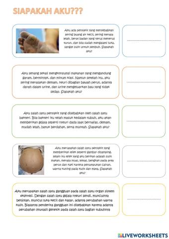Uraian Singkat Sistem Ekskresi