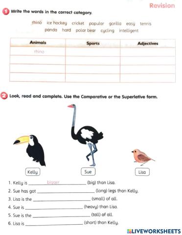 SJ 4 Module 6 Revision