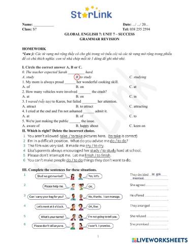 Viet Teacher-S7-Week 25-U7-Gram revision