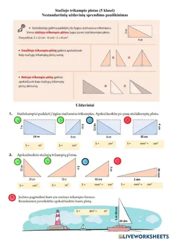Stačiojo trikampio plotas