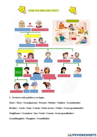 Match words with pictures