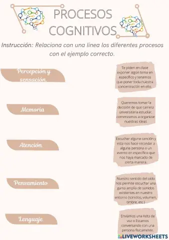 Procesos cognitivos