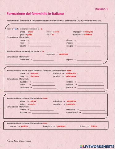 La formazione del femminile
