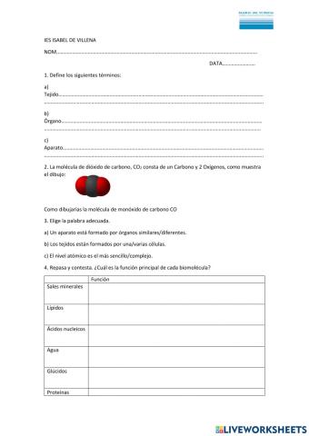 Niveles organizacion vida