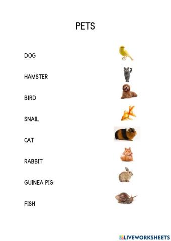Pets