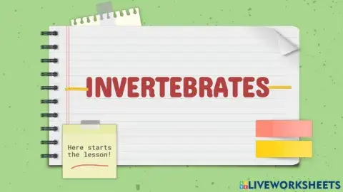 Invertebrates