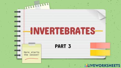 Invertebrates part 3
