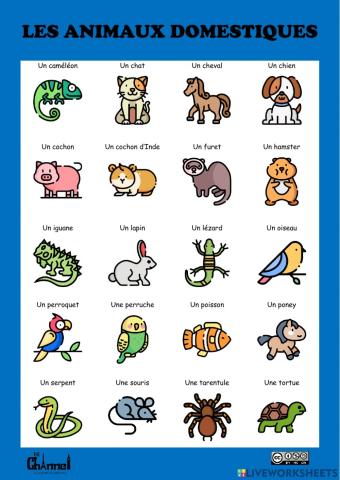 LES ANIMAUX DOMESTIQUES (20 mots)