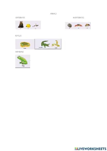 Anphibians and reptiles