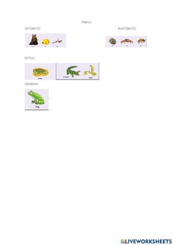 Anphibians and reptiles