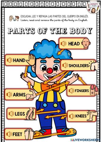 Parts of the body learn
