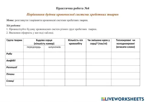 Практична робота №4