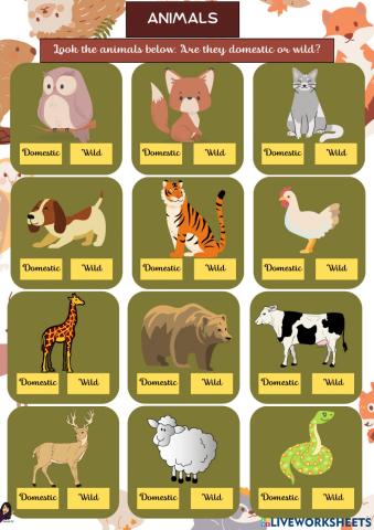 Domestic or wild animals