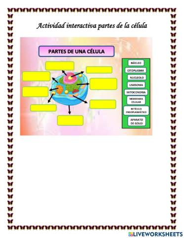 Partes de la Célula