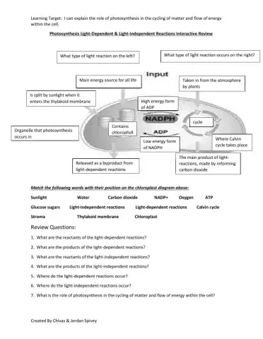 Photosynthesis Light-Dependent & Light-Independent Reactions of Photosynthesis Interactive Review