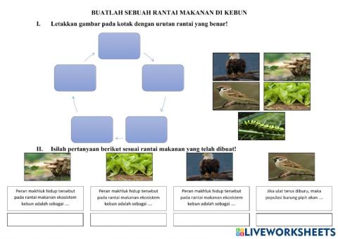 Rantai Makanan Kebun