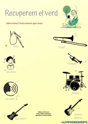 Recuperem el verd endevina instruments