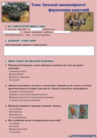 Загальні закономірності формування адаптацій