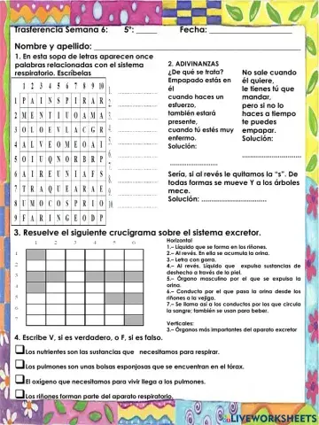 C.N Trasferencia Semana 6
