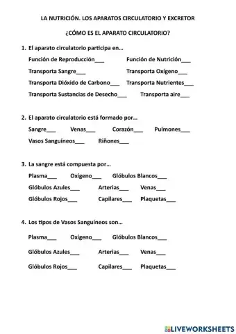 Como es el aparato circularorio