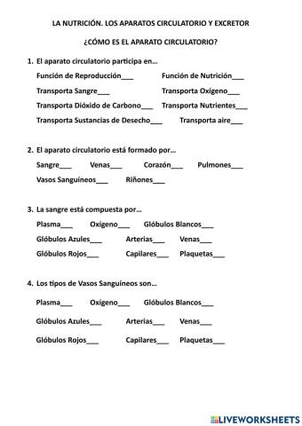Como es el aparato circularorio