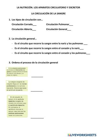 La circulacion de la sangre