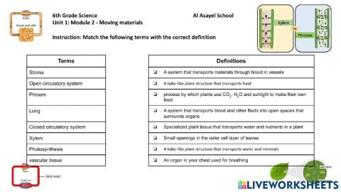 Moving Materials Vocabulary
