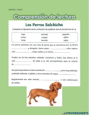 Comprensión de lectura