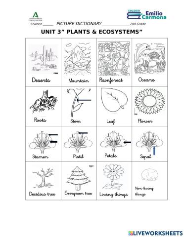 Vocabulary plants and ecosystems