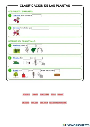 Clasificación de las plantas