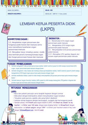 Organ-organ Pencernaan