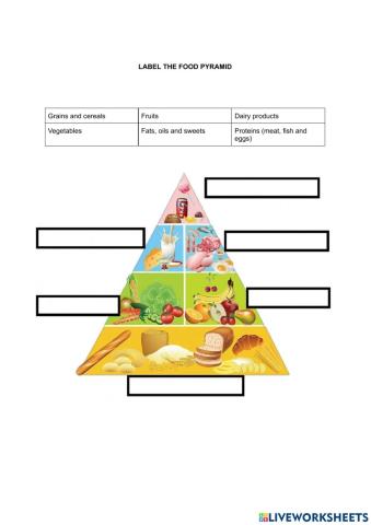 Food pyramid