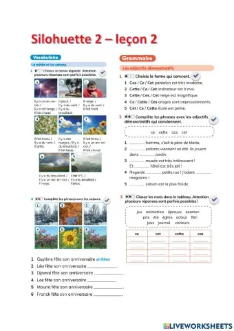 Silhouette 2 - leçon 2