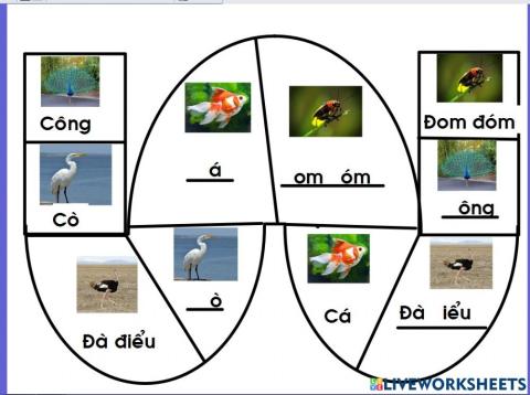 Lam quen chữ c, đ