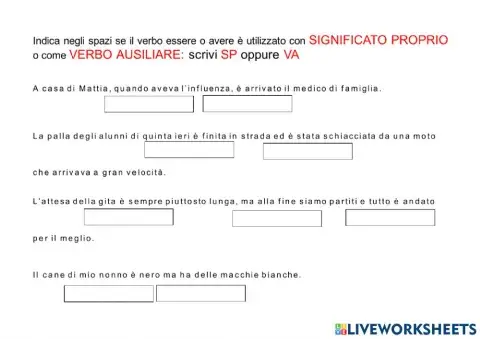 Verbi ESSERE e AVERE